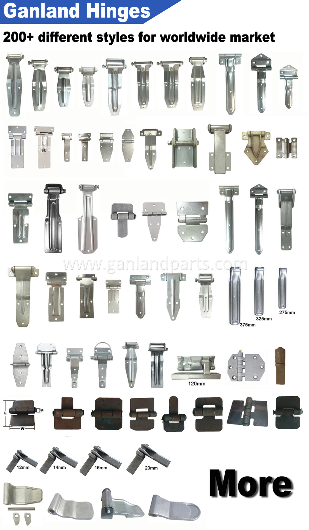 Stainless Steel Polished Hinges